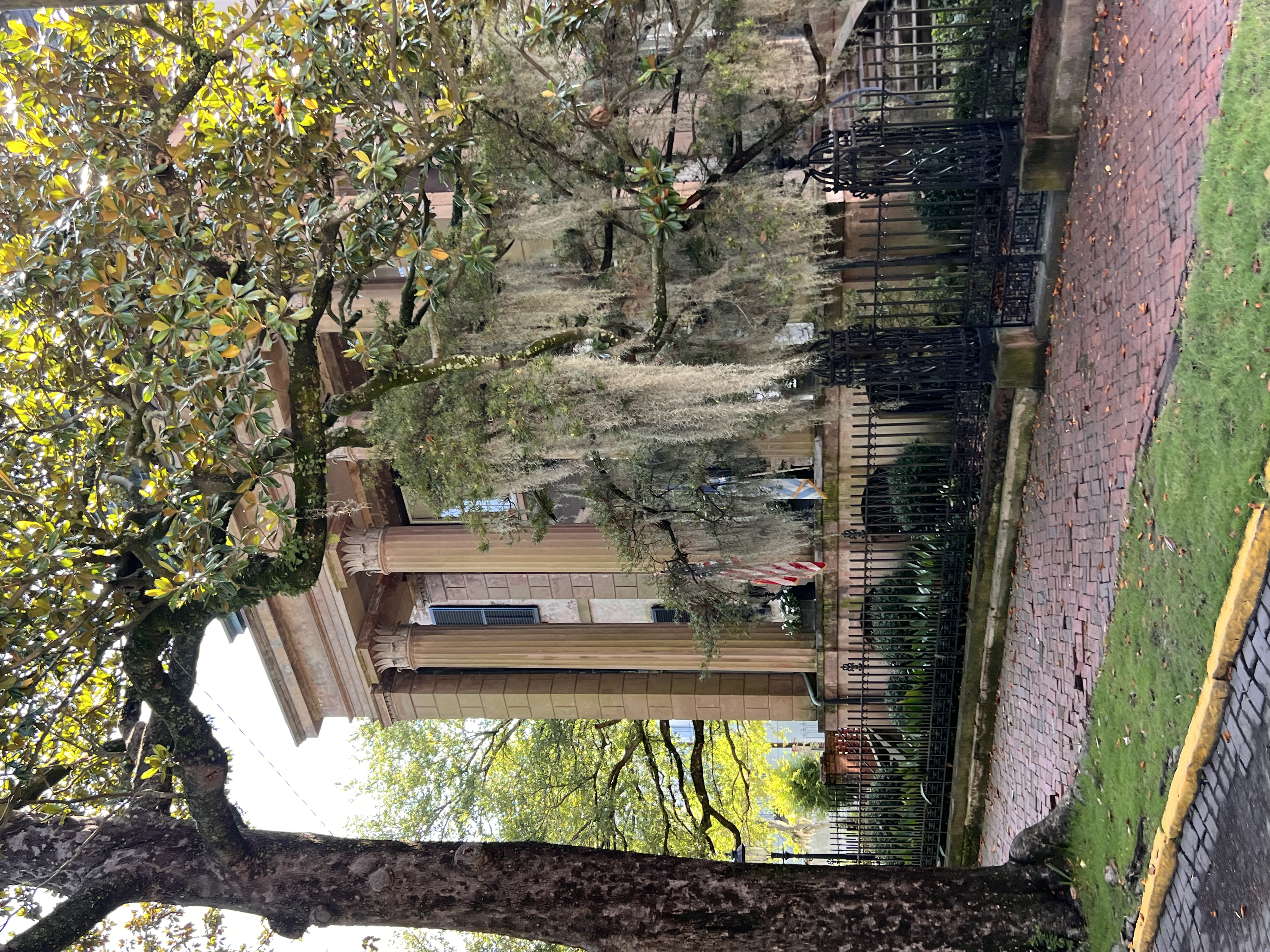 ./2025/06 - Savannah/IMG_1102.jpg